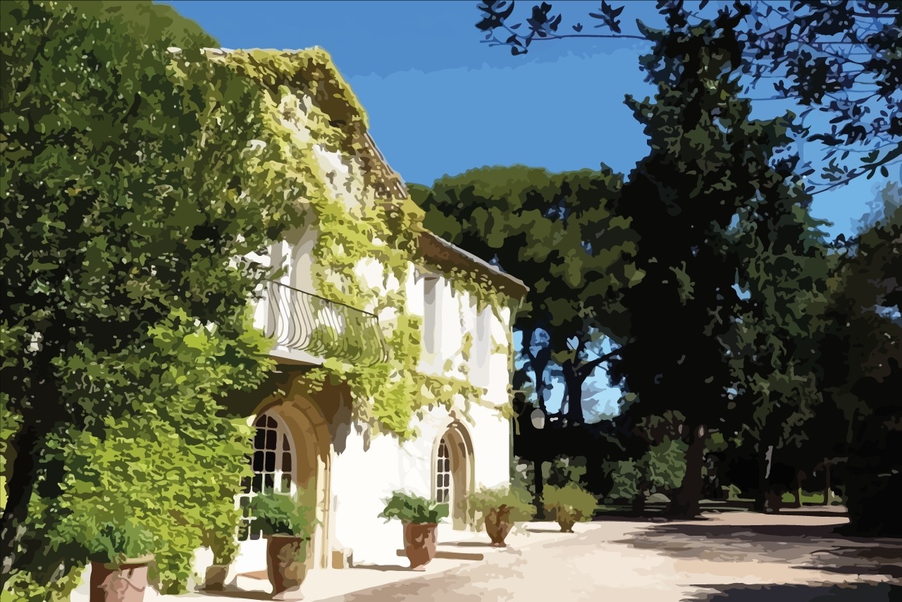 Façade d'une bergerie de pierre entre les vignes