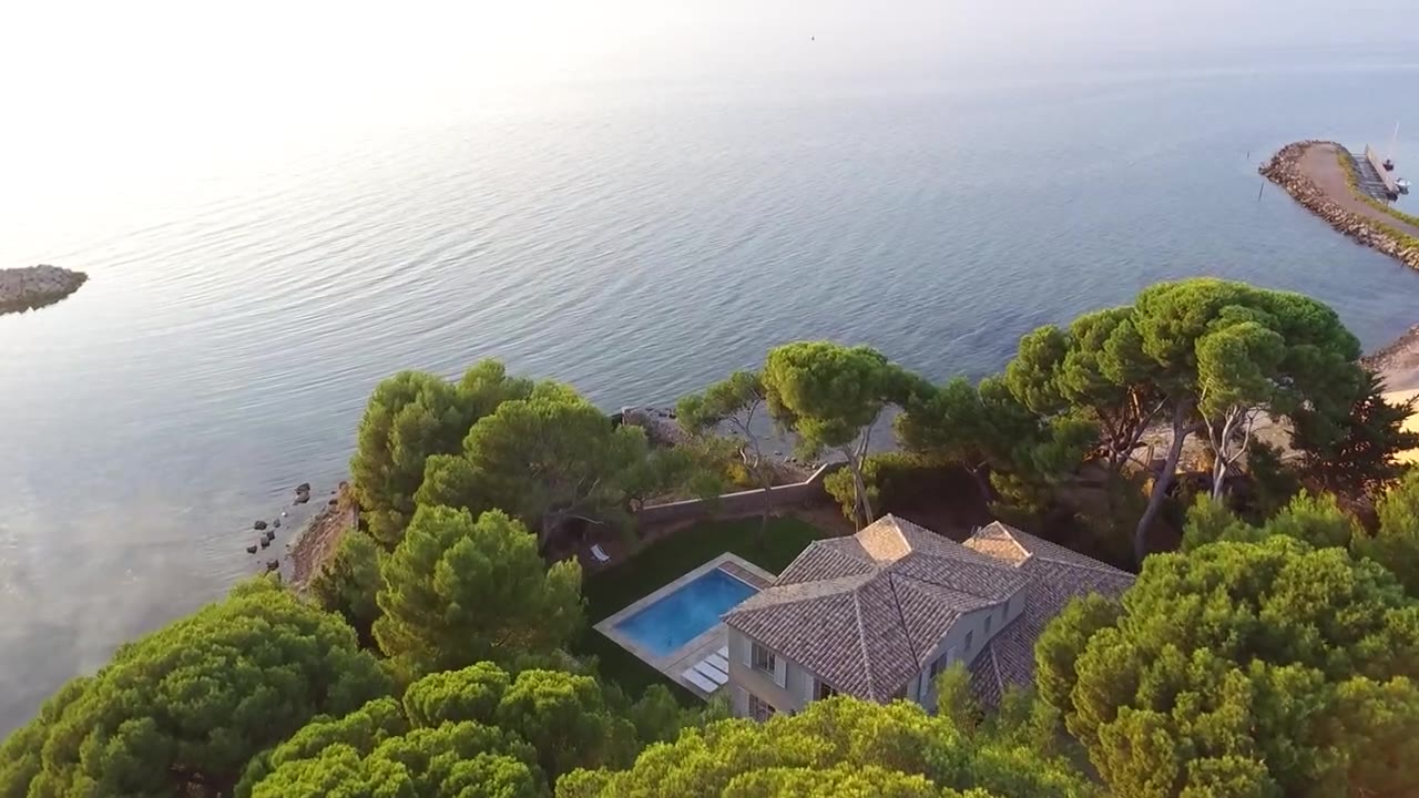 L'étang de Thau vu entre les pins parasols du parc