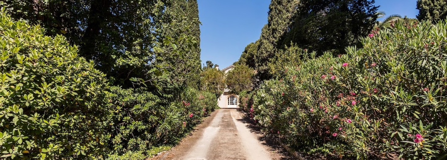 Allée bordée de lauriers roses dans la pinède du domaine