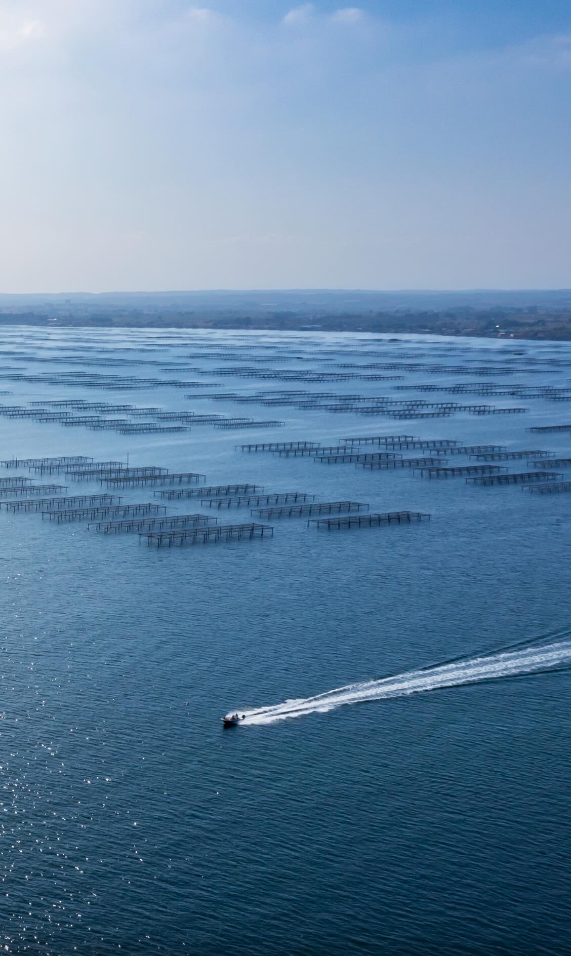 Activités nautiques